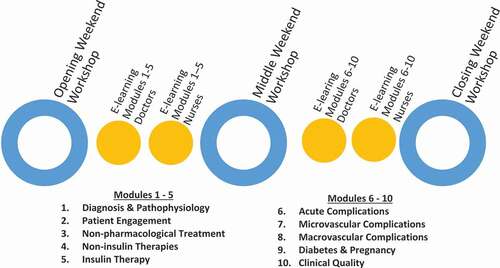 Figure 1. The design of the Steno REACH Certificate Course (SRCC) in clinical diabetes care