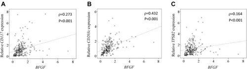 Figure 2 Correlation between expression of BFGF and MC markers. Correlation between expression of BFGF and CD117 (A), CD203c (B), and TPSB2 (C).