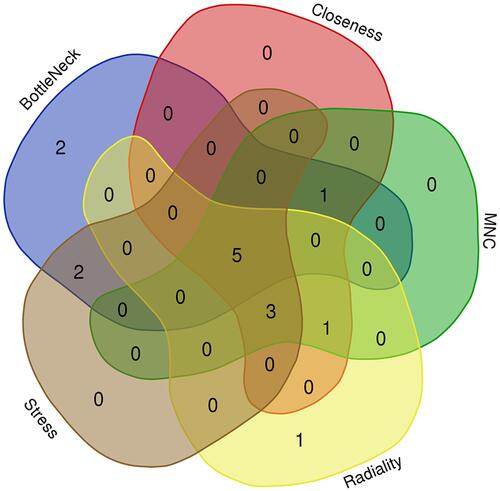 Figure 6 Five hub genes were identified by overlapping the first 10 genes in the five classification methods of cytoHubba.