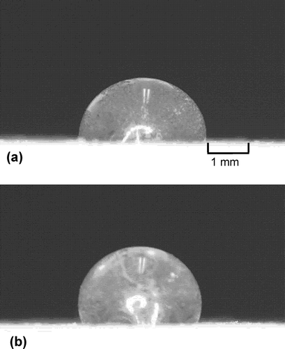 Figure 3 Microphotographs showing the drops of (a) deionized water (contact angle: 91°) and (b) 0.2 mol L−1 calcium chloride (CaCl2; contact angle: 108°) on Andisol treated with 0.2 g kg−1 stearic acid.