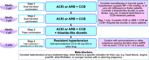 Figure 1. Treatment Algorithm of the International Society of Hypertension. ACEi: angiotensin-converting enzyme inhibitor; ARB: angiotensin II receptor blocker; CCB: calcium channel blocker; OD: once a day; eGFR: estimated glomerular filtration rate; MI: myocardial infarction.