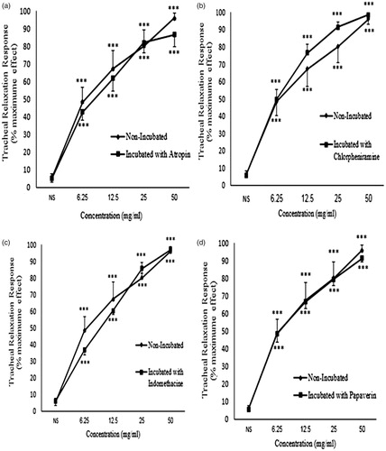 Figure 7. Concentration-response relaxant effect (mean ± SEM) of C. longa on KCl (60 mM) -induced contraction of rat tracheal smooth muscle in non-incubated (n = 9) and incubated tissues with (a) atropine (1 μM, n = 7), (b) chlorpheniramine (1 μM, n = 8), (c) indomethacin (1 μM, n = 8), (d) papaverine (100 μM, n = 8). ***: p < 0.001 compared to saline. There was no significant difference in the effect of the extract between non-incubated and incubated tissues. Statistical comparison was performed using ANOVA with Tukey Kramer post-test.