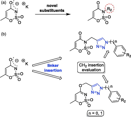 Figure 3. The first and third approaches applied on the acesulfame scaffold.