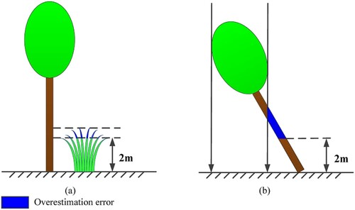 Figure 15. The distributions of overestimation error. (a) Understory vegetation. (b) Inclined trunk.