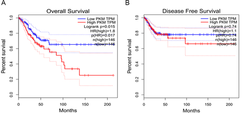 Figure S1 PKM2 high expression is associated with poor survival in CC.Notes: Kaplan–Meier plots were generated using the web-based tool GEPIA (http://gepia.cancer-pku.cn/). The results revealed an association between high expression of PKM2 and unfavorable overall survival (A) and disease-free survival (B) in patients with CC.Abbreviations: CC, cervical cancer; PKM2, pyruvate kinase isozyme type M2.