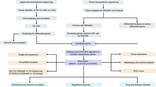 Figure 13 Flowchart of the study.