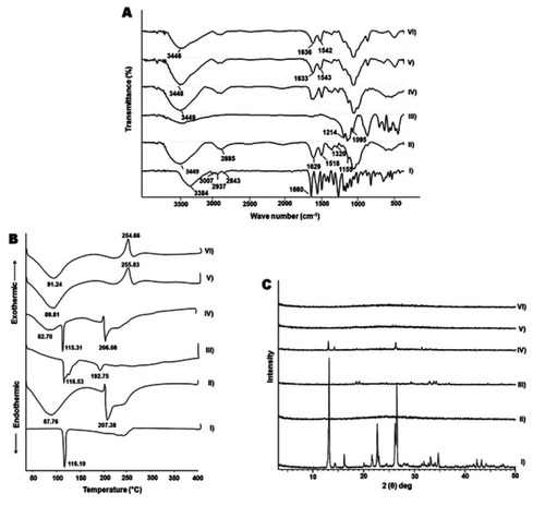 Figure 2 FT-IR spectra (A), DSC thermograms (B), and XRD patterns (C).Notes: (I) APO, (II) COS, (III) TPP, (IV) physical mixture, (V) plain COS-NPs, and (VI) APO-loaded COS-NPs (F4).Abbreviations: APO, apocynin; COS, chitosan oligosaccharide; DSC, differential scanning calorimetry; FT-IR, Fourier-transform infrared; NPs, nanoparticles; TPP, tripolyphosphate; XRD, X-ray diffractometry.