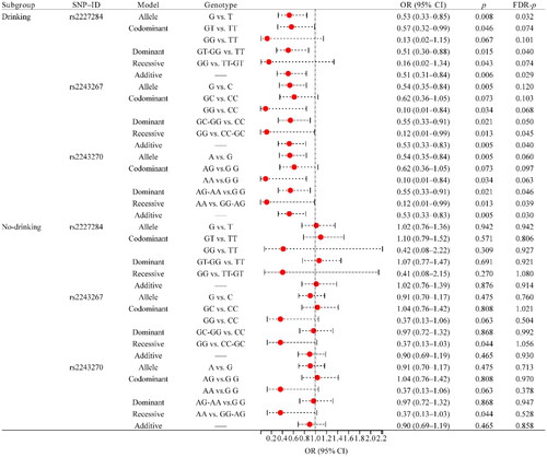 Figure 4. Forest map of the association between SNPs and RA risk in drinking status stratification. RA: rheumatoid arthritis; SNP: single nucleotide polymorphism; OR: odds ratio; CI: confidence interval; FDR: false discovery rate. p < .05 was considered to be significant.
