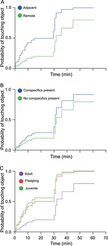 Figure 4. Cumulative counts of minutes taken to contact the novel objects by kea that participated in the latency-to-contact experiment. A, In regions adjacent to human settlements or roads (N = 19) and those remote (>40 km) from human settlements (N = 54). B, By adult (N = 39), juvenile/subadult (N = 20) and fledgling (N = 11) kea. C, By kea with conspecifics present (N = 62) and not present (N = 21).