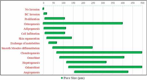 Figure 3. Pore Size of various scaffolds required for various cellular activities. Metabolite exchange [Citation19,Citation55]; Angiogenesis [Citation21]; adipogenesis [Citation56,Citation57]; cell proliferation [Citation58]; Chondrogenesis [Citation59] [Citation60],; Hepatogenesis [Citation61]; Osteogenesis [Citation62,Citation63]; Proliferation [Citation64]; Skin regeneration [Citation65]; smooth muscle differentiation [Citation66]; Osteoblast [Citation67]; Odontoblast [Citation68]; BC Invasion [Citation69].