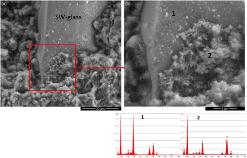 6 a, b magnification of SW-glass/cement interface (fracture surface) and EDS analysis in regions ‘1’ (SW-glass particle) and ‘2’ (interface zone); SW-glass based paste after 28 days of curing