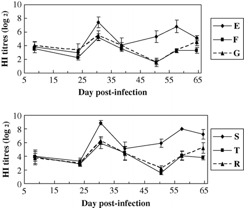 Figure 5.  HI Ab titres to NDV within groups of different lines. Common line – E (no HVT-vaccinated, no MDV-challenged); F (no HVT-vaccinated, MDV-challenged); G (HVT-vaccinated, MDV-challenged). MD-resistant – S (no HVT-vaccinated, no MDV-challenged); T (no HVT-vaccinated, MDV-challenged); R (HVT-vaccinated, MDV-challenged).