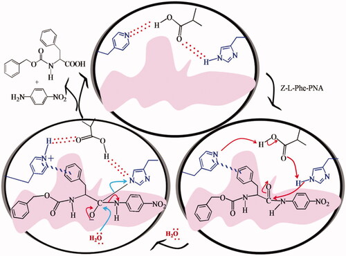 Figure 33. Polymer catalysts with the π-stacking interactions of pyridine.