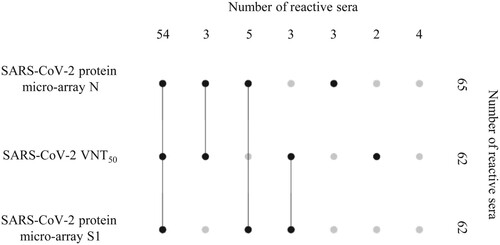 Figure 2. UpSet plot [Citation40] visualizing the relationships between data sets obtained with three different assays, i.e. SARS-CoV-2 micro-array S1, SARS-CoV-2 micro-array N, SARS-CoV-2 VNT50, and 74 sera from RT-PCR-confirmed SARS-CoV-2 cases that were sampled ≥21 days after onset of symptoms. Top row depicts the number of 74 serum samples that could be detected (plotted black dots) or not (plotted grey dots) in different combinations of the three assays. Column on the right side depicts how many sera of the total number of 74 sera that could be identified (black dots) or not (grey dots) using the respective individual test methods.