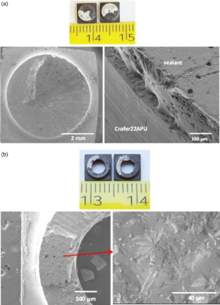 6 Fracture surfaces of a THG-5 and b TDHG joined samples after torsion test