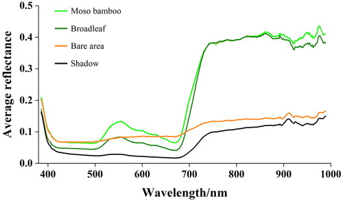 Figure 3. Workflow for feature optimization based on UAV hyperspectral image. The spectral curves of two vegetation species, Moso bamboo and broadleaf, differed more from bare area and shadow, but the spectral curves between Moso bamboo and broadleaf were seriously confused and poorly distinguishable.