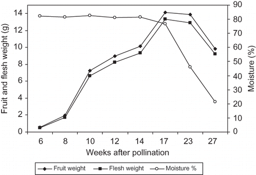 FIGURE 2 Changes in fruit and flesh weight and moisture percentage of ‘Helali’ date palm during development and ripening. Data are the means of the 2009 and 2010 seasons. LSD at 5% for time effect is 0.047, 0.046, and 1.01 for fruit and flesh weight and moisture percentage, respectively.