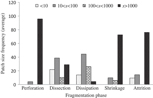 Figure 6. Patch size variability caused by each fragmentation phase.