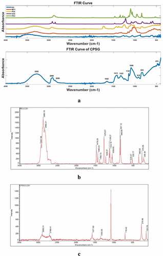 Figure 2. Results of FTIR and Raman test. (a: FTIR test; b: Raman test for PEG; c: Raman test for CPSG).