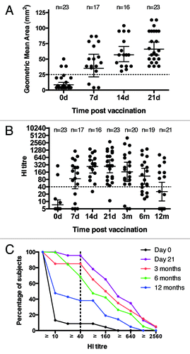 Figure 2. Immunogenicity of the pdmH1N1 vaccine. (A) serum SRH titers for the enrolled volunteers pre-vaccination, and 7, 14, 21 d (d) post vaccination. (B) serum HI titers for the enrolled volunteers pre-vaccination, and 7, 14, 21 d (d) and 3, 6 and 12 mo (m) post vaccination. Each symbol in A and B represents one individual serum sample and lines indicate geometric mean area (GMA) or geometric mean titer (GMT) ± 95% confidence interval. The number of sera (n) included at each time point is indicated. (C) The reverse cumulative distribution curves for the HI antibody response. The HI data was standardized according to a conversion factor based on the GMT of the Candidate International Standard (09/194) in a collaborative study, as the Candidate International Standard has not been assigned International Units. Dotted lines indicate protective levels as defined by the Committee for Medicinal Products for Human Use (CHMP).