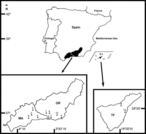 Distribution of the honey samples studied (GR – Granada Province; MA – Málaga Province; TF – Tenerife Province; C.I. – Canary Islands; 1–12 – Collection sites, for identification see Appendix).