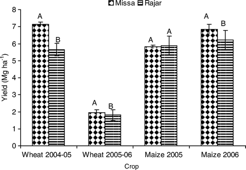 Figure 5.  Influence of soil series on the straw/stover yield of wheat and maize. Vertical lines above each bar show standard deviation. Different uppercase letters indicate significant difference between the treatments at a level of P <0.05.