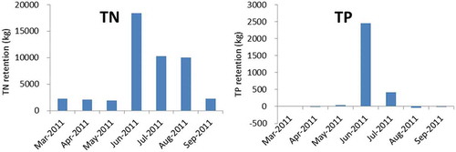 Figure 9. Retention effect of TN and TP in Jiangxiang Polder.