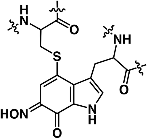 Figure 5. The proposed molecular structure of CTQ-6-oxime in QHNDH.