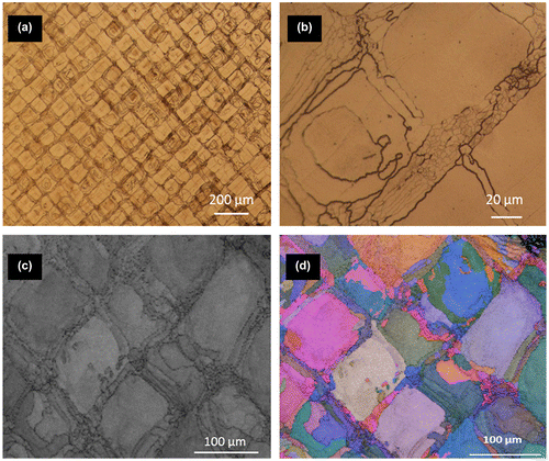 Figure 14. (a), (b) Optical microscopy images of SLM 25Cr super duplex steel taken at low (a) and high (b) magnification demonstrating the mosaic-type macrostructure. (b) Small grains around 1–5 μm within the mosaic boundary zones. (c) EBSD phase map showing existence of single-phase ferrite in the as-built state. (d) Grain orientation map of the same area showing existence of fine grains inside the tesserae (from Saeidi et al. [Citation56]).