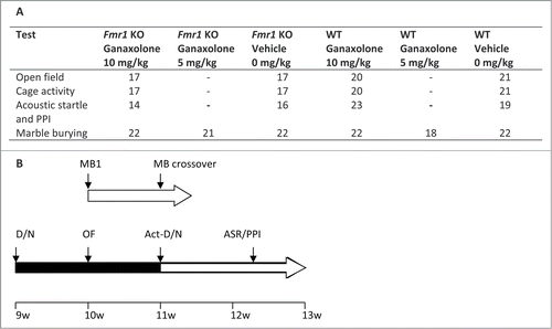 Figure 6. Schematic representation of test battery. (A) Overview of the behavioral assays and the number of animals in each experimental group. (B) Scheme of the order in which the behavioral assays were performed in group 1: marble burying (MB1); marble burying crossover (MB crossover); and group 2: reverse day/night cycle (D/N), open field (OF), cage activity (Act), reverse day/night cycle (D/N), acoustic startle response (ASR) and prepulse inhibition (PPI), as indicated above the horizontal arrows. The horizontal arrow is colored black when the animals are in a reversed day/night cycle. The inter-trial interval is indicated below the horizontal arrows and the age of the animals is indicated on the bottom line.