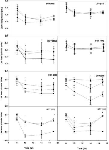 Figure 3. Diurnal course of leaf water potential measured at different times (DOY) in grapevine cultivars: Concord (square), Pinot noir (triangle), and Traminette (circle) in 2005 (right) and 2006 (left) growing seasons. Bars not visible indicate standard error smaller than symbol. Asterisks denote significant differences among cultivars at p < 0.05. DOY: Day of the year.