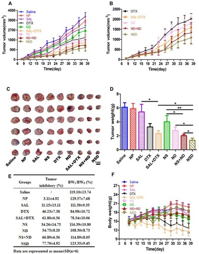 Figure 8 Therapeutic effects of nanoparticles in mice bearing subcutaneous MCF-7 tumors. Mice were treated with intravenous injections of the nanoparticles or free drugs (SAL 2 mg/kg; DTX 2.1 mg/kg) via the tail vein. Tumor growth curves (A). The enlarged profiles of DTX, SAL + DTX, ND, NS + ND and NSD on the growth of tumors (B). Images of excised tumors in each group at the endpoint (C). The excised tumors were weighed at the endpoint (D). *p < 0.05; **p < 0.01. Body weight change rate and tumor inhibitory rate after treatment of different formulations (E). Weight changes in mice during the treatment (F). Data are presented as means ± standard deviations (n = 6).