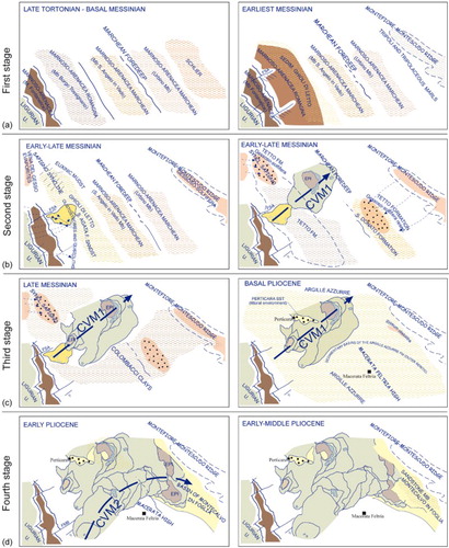 Figure 8. Proposed evolutionary model of the CVM in the foredeep basin system of the Northern Apennines (see text for explanation; FSA: Sant Agata Feltria fault; FMB: Molino di Bascio fault). The tectonic and depositional stages driving the emplacement of the CVM are represented, emphasizing the two different allochthonous bodies (CVM1 and CVM2). Dashed pattern represents areas with active deposition for each stage; large arrows show the main emplacement and transport direction of the CVM within the foredeep; small arrows indicate feeding deposit directions; EPI: Epiligurian deposits.