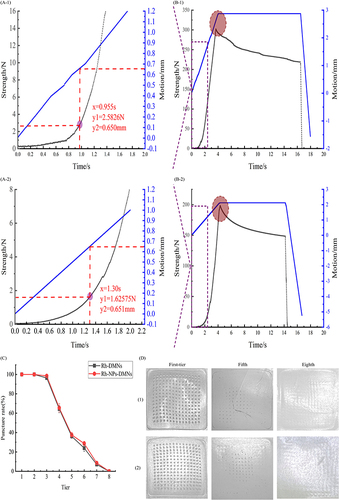 Figure 3 Characterization of Rh-NPs-DMNs (1) and Rh-DMNs (2). ((A) local fracture force at the tip; (B) overall fracture force; (C) the trend of puncture (points indicate Mean ± S.D.) (n = 3 independent experiments with three technical replicates); (D) perforation changes in each layer of membrane)(1: Rh-NPs-DMNs; 2: Rh-DMNs).