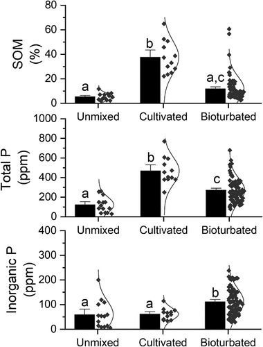 Figure 7. Topsoil chemistry as a result of soil mixing regimes (unmixed, cultivated, and bioturbated). Data include soil organic matter content (upper panel), total phosphorous (middle panel), and inorganic phosphorous (lower panel). Bars indicate mean values and the standard errors are highlighted as error bars. Individual data points are shown to the right of the bar along with the inferred normal distribution. Different letters (a, b, c) above the bars indicate statistical differences (p < .05) between mixing regimes according to Tukey’s honestly significant difference post hoc test, where similar letters imply no statistical difference (p > .05) between mixing regimes.