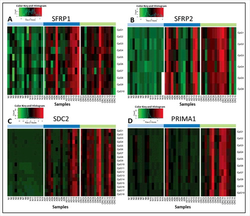 Figure 1. Methylation percentage data of selected CpG sites of the 4 markers analyzed by pyrosequencing method. Heatmaps representing the methylation pattern of each CpG site of SFRP1 (A), SFRP2 (B), SDC2 (C), and PRIMA1 (D) separately in colon tissue samples using a bisulfite pyrosequencing method. Methylation levels on the color scale are as follows: red: high methylation; black: intermediate methylation; green: low methylation level. Samples are presented in columns. Clinical groups are color coded on the top blocks and represent normal (light blue), adenoma (dark blue), and CRC (light green) tissue samples. CpG sites are shown in rows, indicated on the right side of each panel. Significantly higher methylation levels were observed for 43 of the 44 studied CpG sites located in the promoter regions of SFRP1, SFRP2, SDC2, and PRIMA1 in CRC tissue samples compared with healthy controls, and 33 CpG sites had elevated methylation level in adenomas in comparison to normal samples (P < 0.05). N: normal; AD: adenoma; CRC: colorectal cancer; CpG: cytosine phosphate guanine