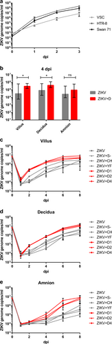Fig. 1 Replication and DENV-specific ADE in cell cultures and placental explants.a ZIKV replication in placental cell lines. Cells were infected with ZIKV at MOI of 0.1. ZIKV genome RNA concentrations were measured by real-time RT-PCR for 3 days after infection. Each datum point represents the mean of triplicates with SD. b ZIKV replication kinetics in different placental tissue explants and ADE by DENV antibodies. Placental villus, maternal decidua, and amnion explants from three donors were infected with ZIKV (1.5 × 105 PFU/mL) with or without prior incubation with human sera containing antibodies against DENV-1, DENV-2, or DENV-4. Four dpi ZIKV concentrations were quantified by real-time RT-PCR. Each column represents the median of 9 (ZIKV) or 27 explants (ZIKV + D) with interquartile range. Statistical analysis was performed with the Mann–Whitney test (*P < 0.05). c–e ZIKV infection kinetics in presence or absence of DENV-, YFV-, or CHIKV-immune sera, or naïve human serum. Placental villus (c), maternal decidua (d), and amnion (e) explants from four donors were infected with ZIKV (1.5 ×105 PFU/mL) with or without prior incubation with human sera containing either antibodies against three different DENV serotypes, YFV or CHIKV, or a control serum. Virus concentrations of inocula 0 dpi and viral progeny 1, 2, 4, 6, and 8 dpi were quantified by real-time RT-PCR. All infections were done in triplicates for each placenta. Data points represent the mean of 12 explants per setting with SEM. Inocula were measured once per placenta and setting. ZIKV + D1 ZIKV + DENV-1-immune serum, ZIKV + D2 ZIKV + DENV-2-immune serum, ZIKV + D4 ZIKV + DENV-4-immune serum, ZIKV + YF ZIKV + YFV-immune serum, ZIKV + CH ZIKV + CHIKV-immune serum, ZIKV + S− ZIKV + flavi- and alphavirus-naïve serum
