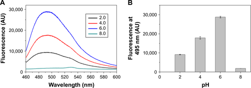 Figure S1 Thioflavin-T-binding fluorescence of RADA16-I dissolved in buffers with different pH. (A) Representative fluorescent spectra at different pH. (B) Comparison of fluorescence intensity at 495 nm.Abbreviation: AU, arbitrary units.