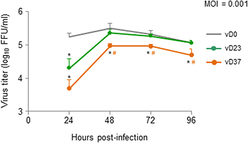 Figure 1 Isolated viruses on days 23 and 37 showed reduced replication in vitro. Three types of isolated variants were analyzed. vD0, vD23, and vD37 were isolated from nasopharyngeal swabs on days 0, 23, and 37. Calu-3 cells were infected with each variant at a multiplicity of infection of 0.001. Viral supernatant titers were determined using focus-forming assays at the indicated time points. The data represent the mean ± SEM of the three experimental replicates. Statistically significant differences compared with the virus titers of vD0 (*P < 0.05) and vD23 (#P < 0.05) were determined by analysis of variance (ANOVA) with Tukey's multiple comparison test.