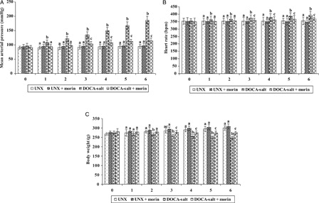 Figure 1. Effect of morin on MAP (A), heart rate (B), and body weight (C) in UNX and DOCA-salt hypertensive rats. Values are expressed as means ± standard deviation (SD) for six rats in each group. Values not sharing a common superscript differ significantly at P < 0.05 (DMRT).