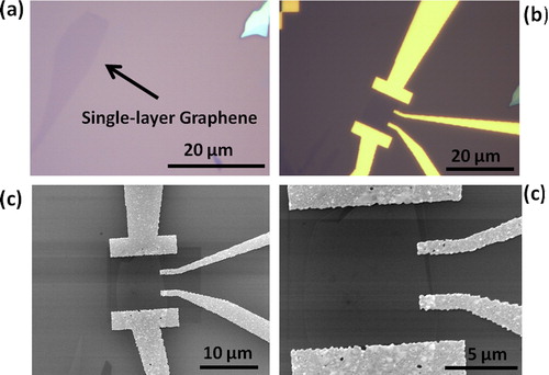 Figure 2. Typical optical images of single-layer graphene a before patterning the electrode and b after patterning the electrode. c, d Typical SEM images of the single-layer graphene field-effect transistor