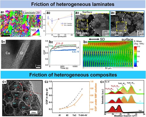 Figure 5. Structure and friction of heterogeneous laminates and other heterostructured materials [Citation90,Citation91,Citation97]. (a) Friction of heterogeneous Cu/CuZn laminate: EBSD IPF mappings of the laminates with a layer spacing of (a1) 20 µm, (a2) variations of the COF with the layer spacing for the laminates sliding perpendicular and parallel to the interface under a normal load of 5 N, TEM images of worn subsurface for Laminate-50 under the sliding direction (a3) perpendicular, (a4) parallel to the interface (indicated by the white dashed line). (b) Friction of heterogeneous Gr/Cu laminate: (b1) TEM image for a typical Gr/Cu interface, (b2) COF curves for three sliding directions (I.P. (in-plane surface), C.S.-P, and C.S.-V (parallel and vertical to the lamellae on cross-section surface)) of the Gr/Cu laminates, (b3) finite element simulating results for C.S.-V. (c) Friction of heterogeneous TaC/Ta core-shell-like nanocomposite: (c1) HRTEM image implying the core-shell-like structure of TaC/Ta nanocomposite, (c2) COF values of TaC/Ta nanocomposites (sample # 1 with a Ta layer thickness of ∼ 1.5 nm and sample # 2 with a Ta layer thickness of ∼ 5.5 nm), TaC and Ti–6Al–4V under dry air and SBF solution, (c3) typical XPS core level spectra of Ta4f performed on the worn surface for TaC monolayer and TaC/Ta nanocomposites (sample # 1 and sample # 2).