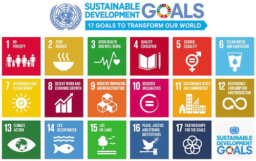 Figure 1. The UN Sustainable Development Goals (https://www.un.org/sustainabledevelopment/).