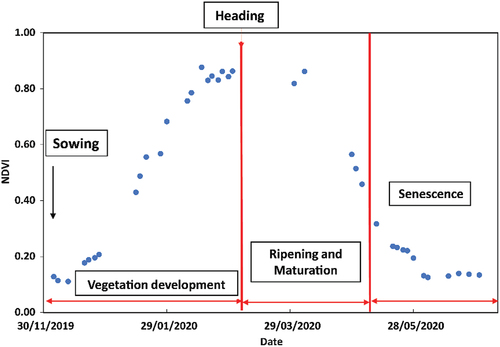 Figure A1. The NDVI profile of a selected reference wheat field in the Kairouan Plain with the corresponding phenological phases: vegetation development period, heading event, ripening and maturation period and the senescence period. The NDVI plotted data correspond to Sentinel-2 acquisition dates.