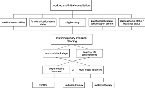 Figure 1 Proposed work flow for therapeutic considerations for elderly patients with HNSCC.