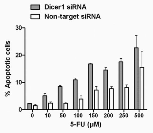 Figure 3. Synergistic effect of Dicer1 knockdown and 5-FU on p53-mutated HACAT cells. HACAT cells were transiently transfected with Dicer1 siRNA (50 nM) or non-target control siRNA, synchronized for 48 h, and treated with increasing doses of 5-FU (10–500 µM) or vehicle for additional 48 h after cell cycle release. Results show the percentage of Annexin-FITC/PI-positive cells by flow cytometry. The data presented are means ± SD of 3 experiments.