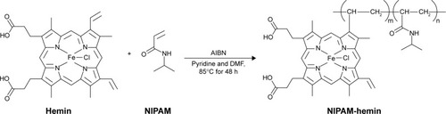 Scheme 1 The process of NIPAM-hemin synthesis.Abbreviations: AIBN, 2,2′-azodiisobutyronitrile; DMF, N,N-dimethylformamide; Hemin, ferriprotoporphyrin IX chloride; NIPAM, N-isopropylacrylamide.