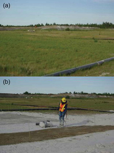 Figure 5. The field research site at the Unimin Ltd Nephton mine. (a) Tailings pond #4 with established vegetation before being cleared. (b) The application of Entac, June 1, 2016.