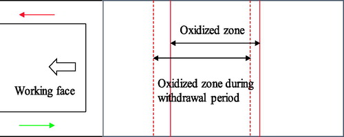 Figure 1. Oxidized zone movement during withdrawal period.