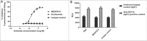 Figure 8. MEDI7814 does not inhibit bacterial cell killing and clearance. Representative results showing that MEDI7814 (▴) does not inhibit (A) lysis of luminescent K. pneumoniae, in the presence of human serum. No effect was observed with the isotype irrelevant control mAb (▪), whereas the positive control mAb, Eculizumab (•) effectively inhibited cell lysis. Data points represent the mean of duplicate wells ± standard deviation. (B) MEDI7814 does not inhibit C3b mediated opsonophagocytic killing (OPK) of a luminescent strain of P. aeruginosa in human whole blood. Blood was treated with 600 nM MEDI7814 or an IgG4 isotype negative control antibody prior to being added to wells containing a positive control anti-CD11b mAb or an IgG1 isotype irrelevant control mAb and P. aeruginosa. As MEDI7814 shows a mean luminescence similar to the negative PBS control (4593 RLU) in the presence of the IgG1 irrelevant control mAb, this indicates that it does not inhibit OPK. The anti-CD11b mAb blocks OPK resulting in an increased luminescence. Data points represent mean RLU ± standard error of the mean for 4 different donors.